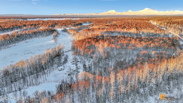 32500 Talkeetna Spur Rd, Talkeetna, AK 99676 - snowy aerial view featuring a mountain view and a wooded view