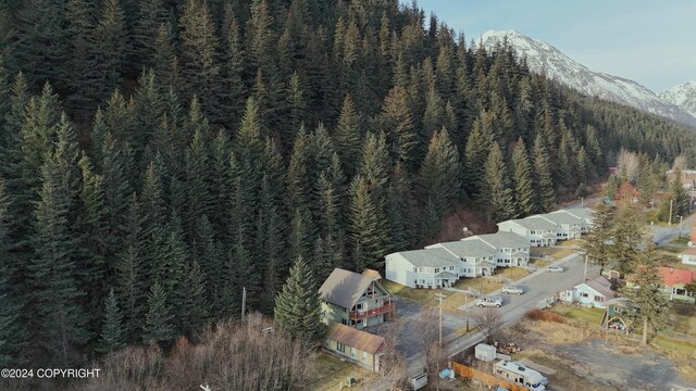 bird's eye view with a mountain view