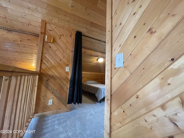 additional living space featuring carpet flooring and wood walls