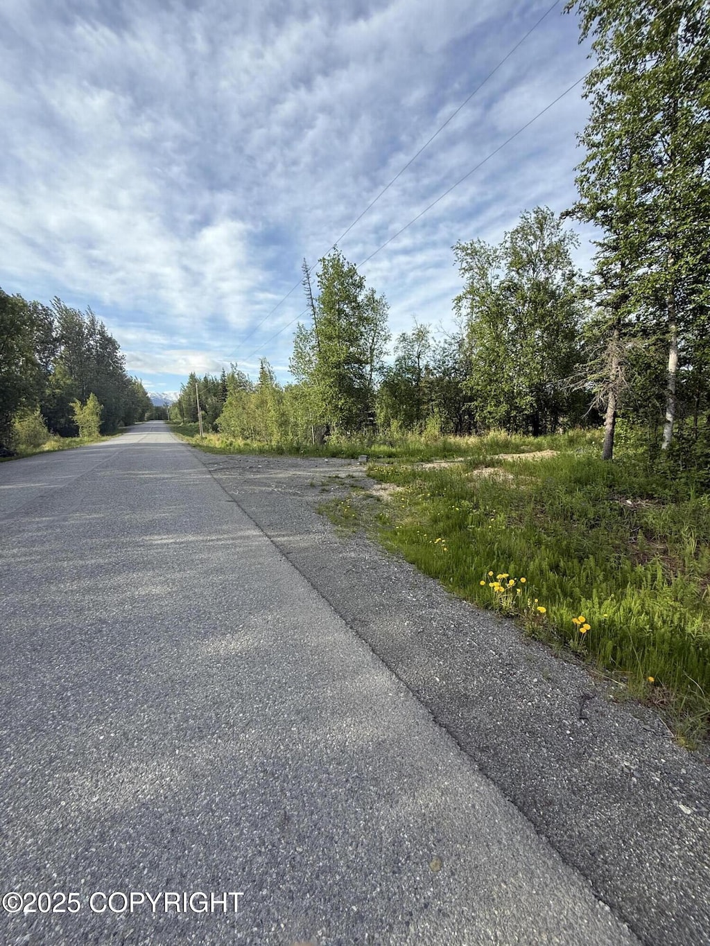 495 S Harriette St, Wasilla, AK 99654 - photo 1