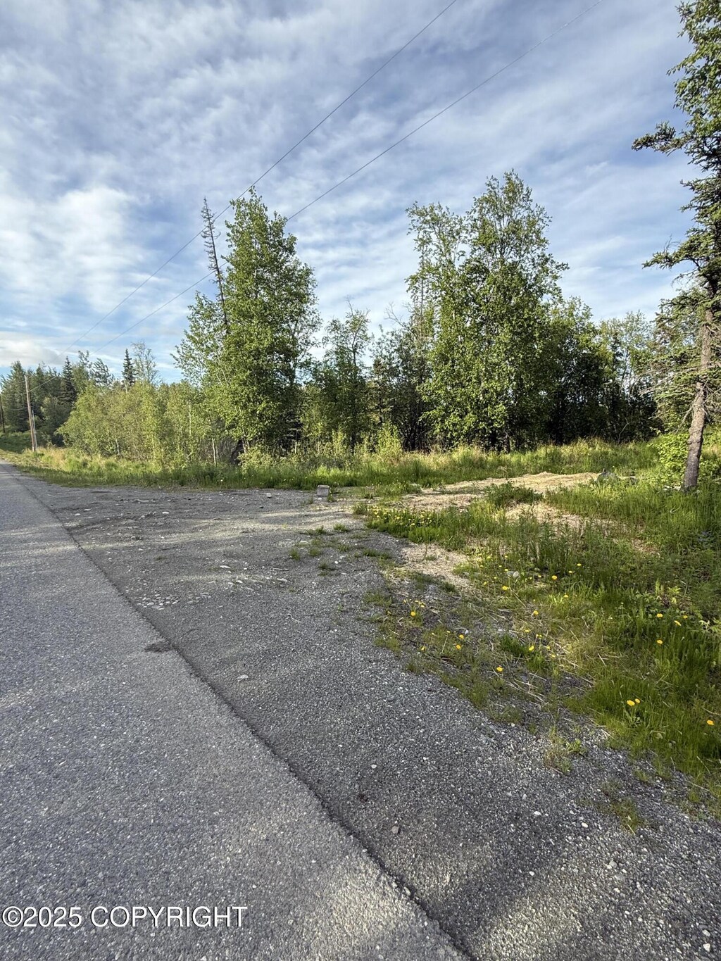495 S Harriette St, Wasilla, AK 99654 - photo 2