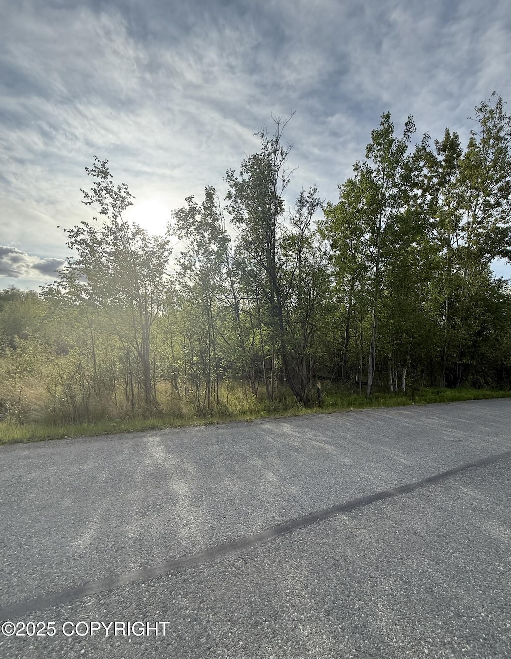 495 S Harriette St, Wasilla, AK 99654 - photo 4