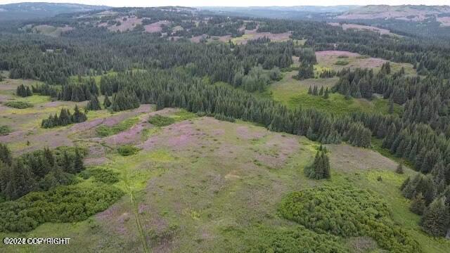 61189 Master Ave, Homer AK, 99603 land for sale