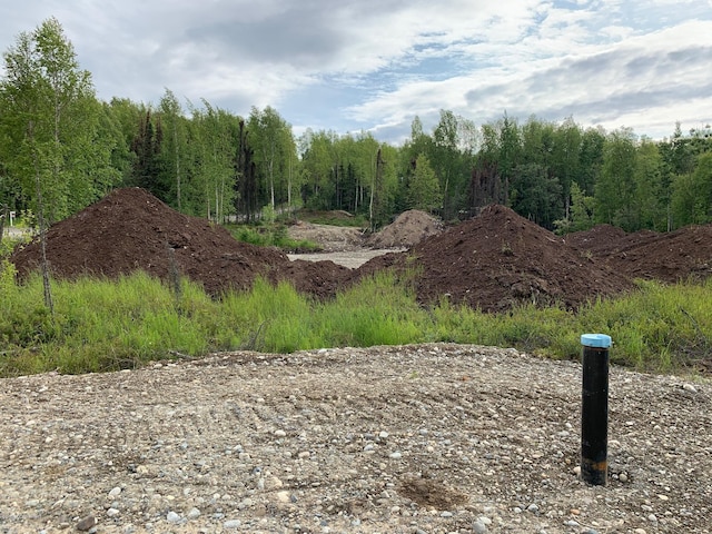 7301 W Indigo Dr, Wasilla, AK 99623 - photo 4