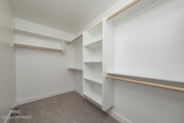 spacious closet featuring carpet flooring