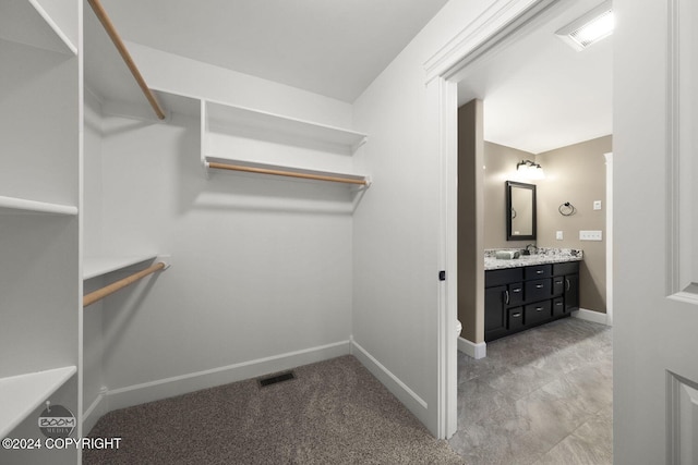 spacious closet with light carpet