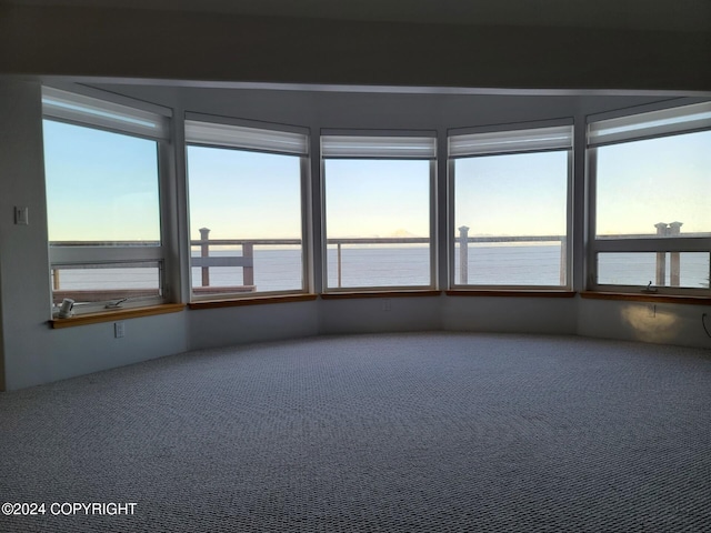 spare room with carpet flooring and a water view