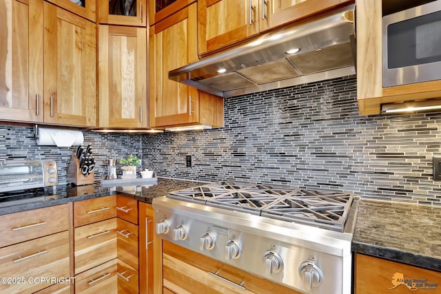 kitchen with stainless steel appliances, dark stone counters, under cabinet range hood, and decorative backsplash