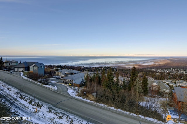 drone / aerial view with a residential view and a water view