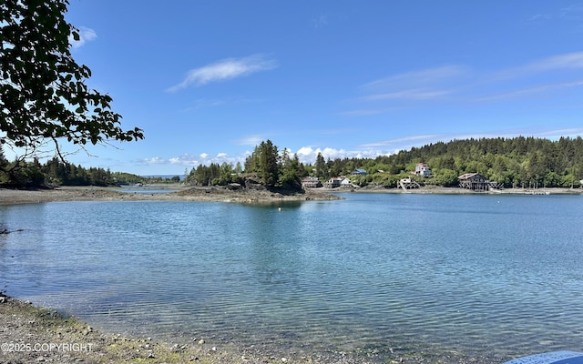 L5A Halibut Cv, Halibut Cove, AK 99603