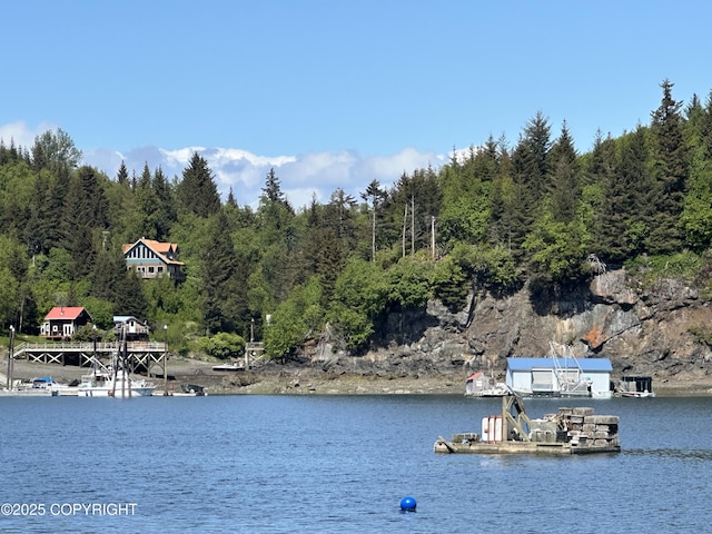 L5A Halibut Cv, Halibut Cove, AK 99603