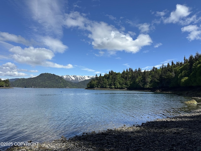 L5A Halibut Cv, Halibut Cove, AK 99603
