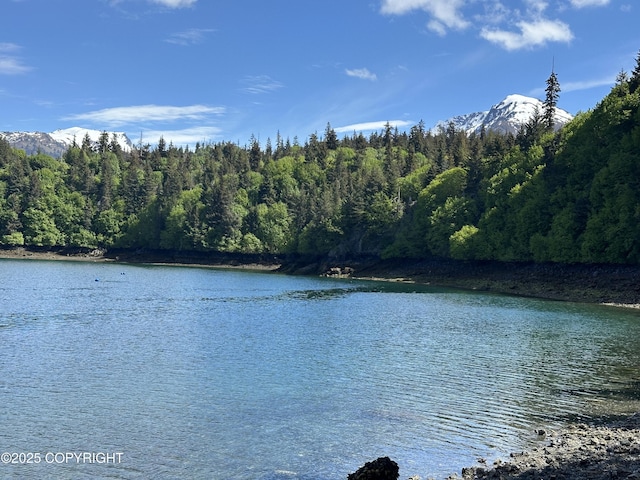 L5A Halibut Cv, Halibut Cove, AK 99603