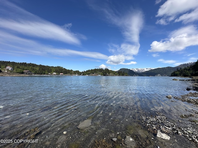 L5A Halibut Cv, Halibut Cove, AK 99603