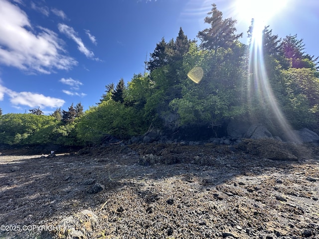 L5A Halibut Cv, Halibut Cove, AK 99603