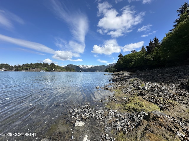 L5A Halibut Cv, Halibut Cove, AK 99603