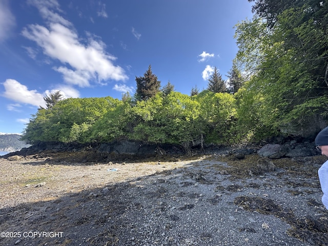 L5A Halibut Cv, Halibut Cove, AK 99603
