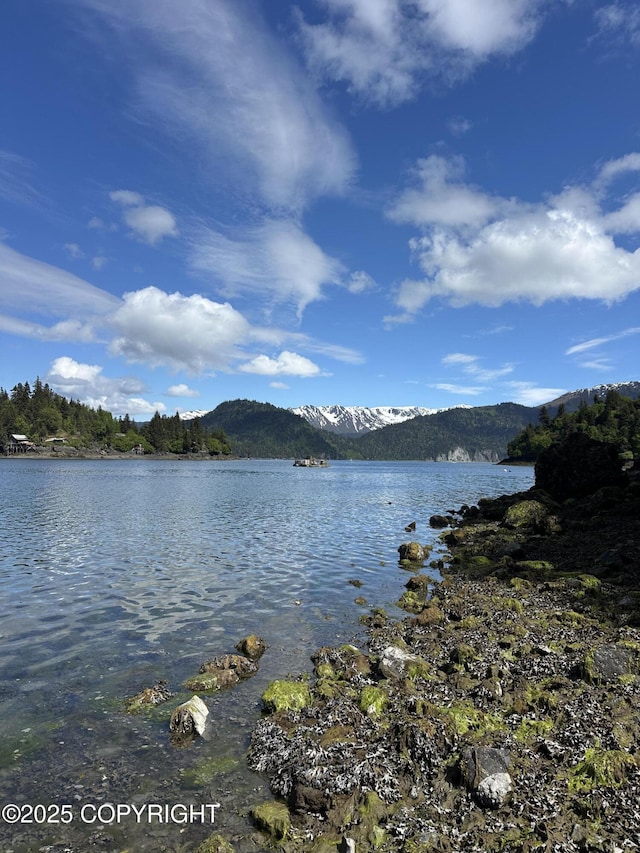 L5A Halibut Cv, Halibut Cove, AK 99603