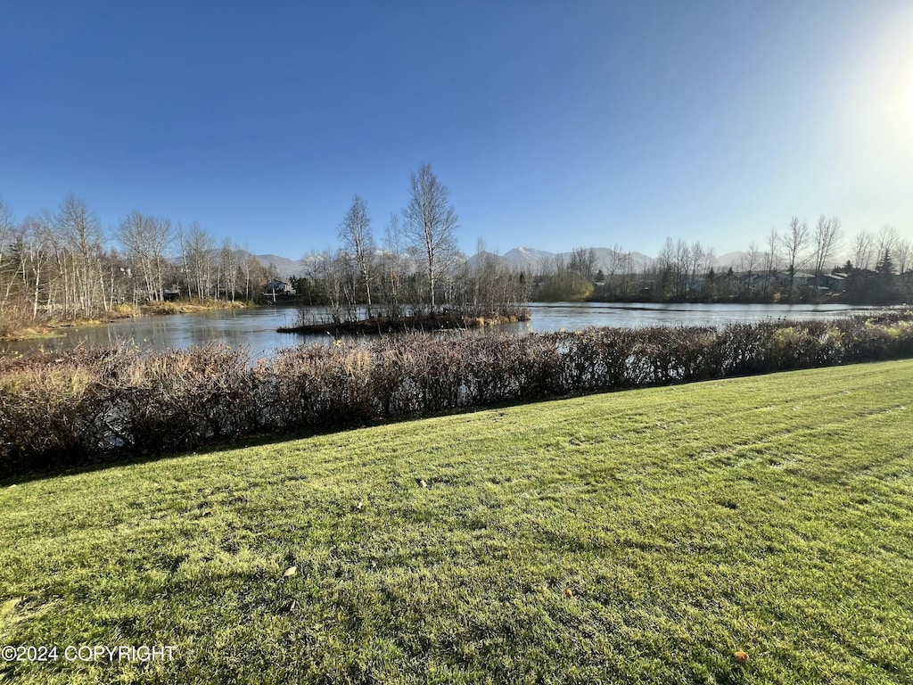 view of yard with a water view