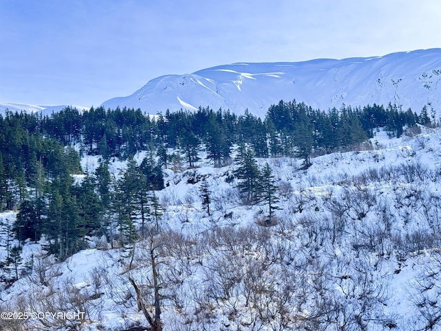 mountain view featuring a wooded view