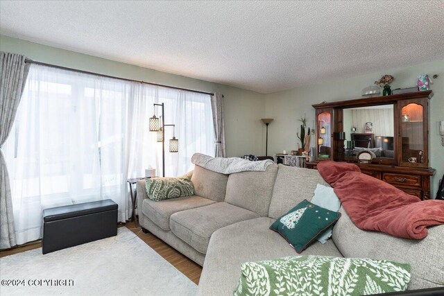 living room featuring a healthy amount of sunlight, wood-type flooring, and a textured ceiling