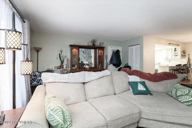 living room with a textured ceiling