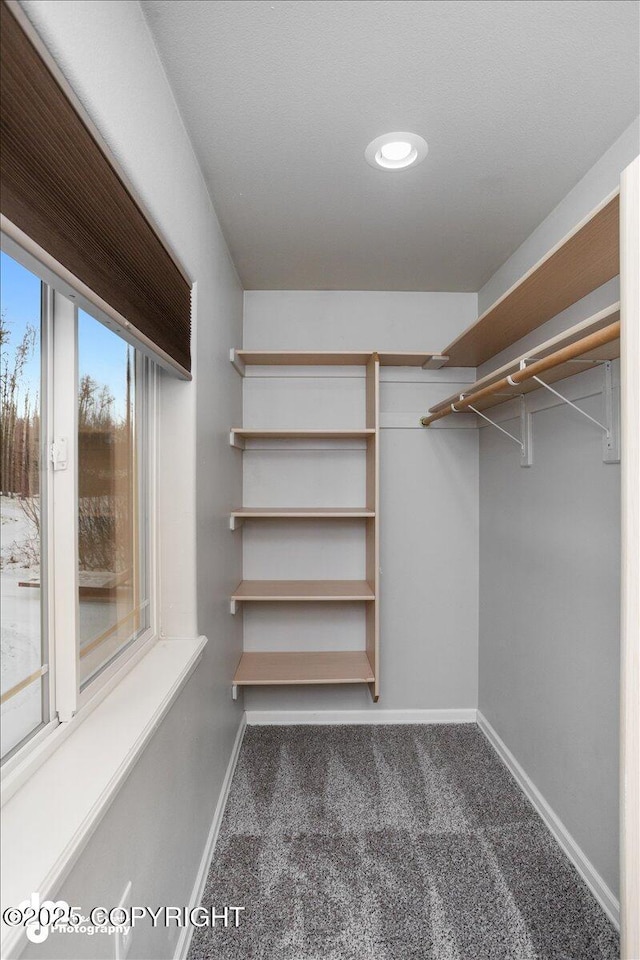 spacious closet featuring dark colored carpet