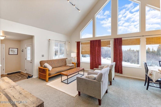 living room with high vaulted ceiling, rail lighting, a wealth of natural light, and light carpet