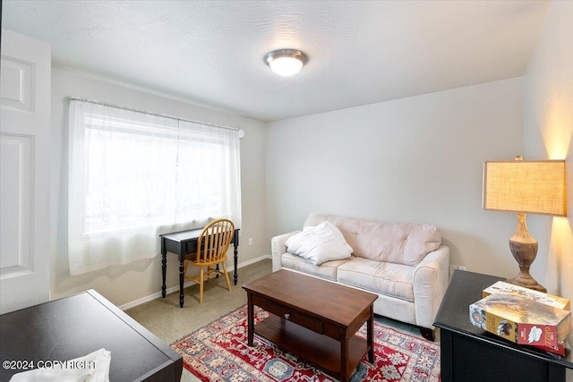 living room featuring a textured ceiling