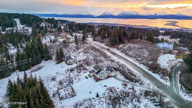 snowy aerial view featuring a mountain view