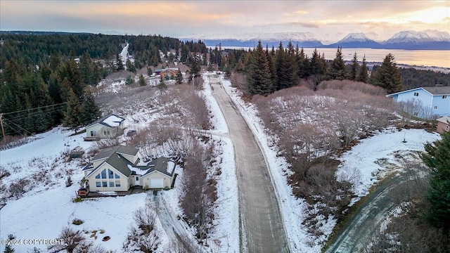 snowy aerial view featuring a mountain view