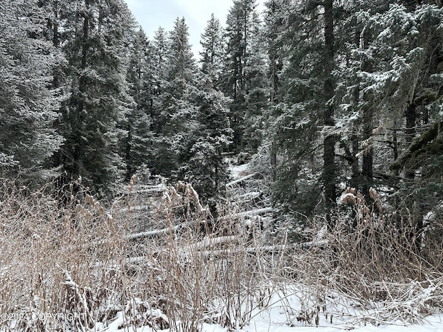 L2 Rocky St, Seldovia, AK 99663 - photo 6