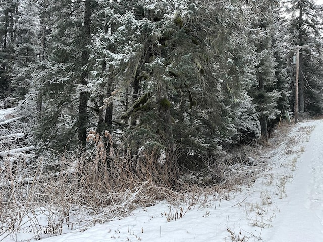 L2 Rocky St, Seldovia, AK 99663 - photo 7