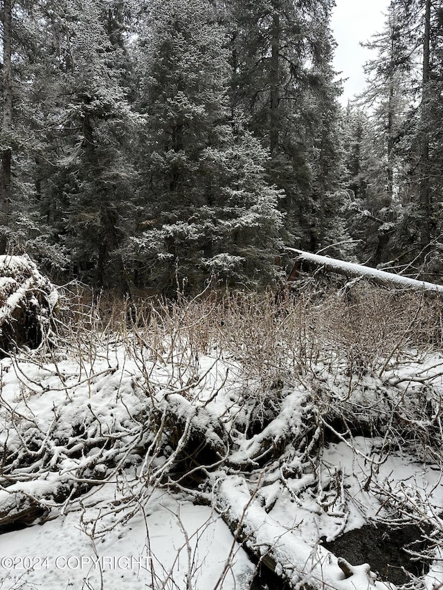 L2 Rocky St, Seldovia, AK 99663 - photo 9