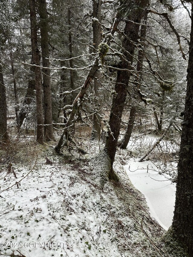 L2 Rocky St, Seldovia, AK 99663 - photo 10