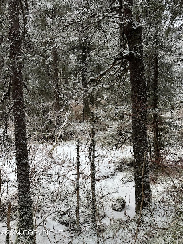 L2 Rocky St, Seldovia, AK 99663 - photo 11