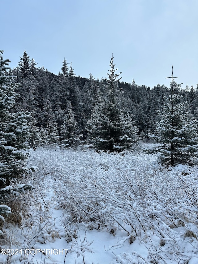 L2 Rocky St, Seldovia, AK 99663 - photo 12