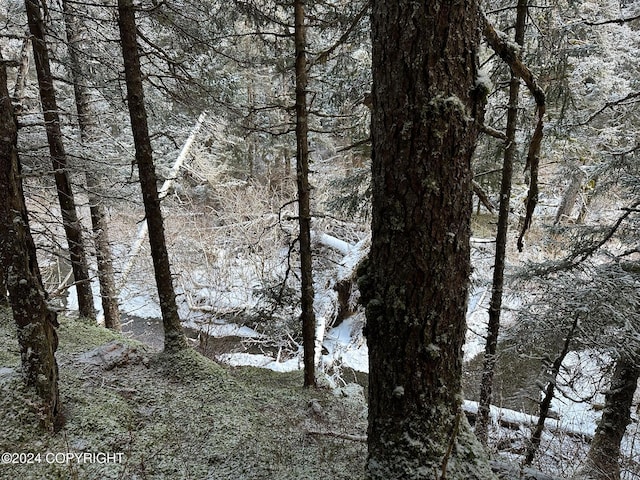 L2 Rocky St, Seldovia, AK 99663 - photo 18