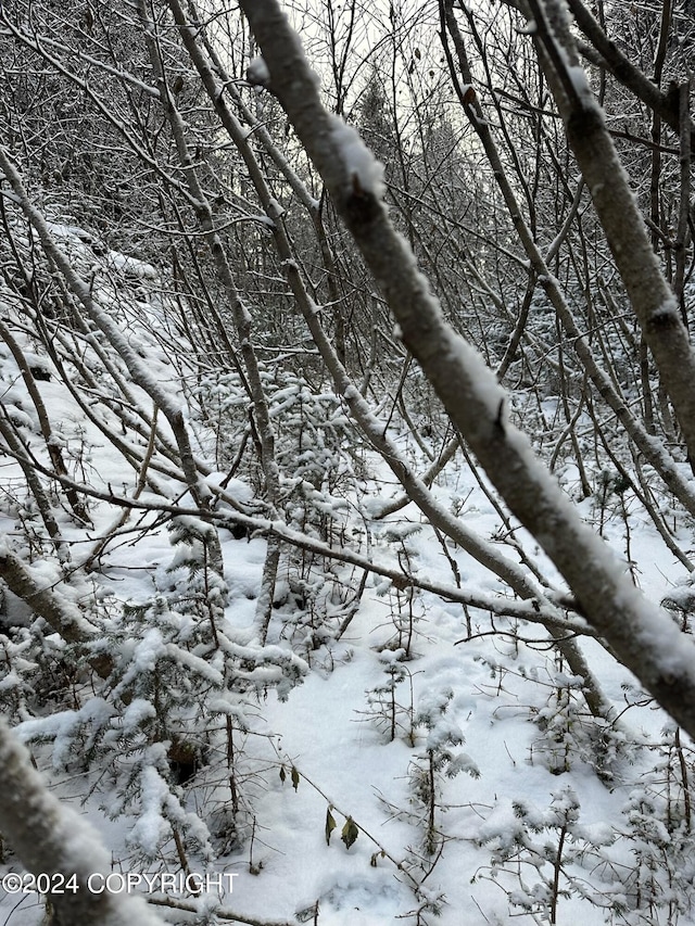 L2 Rocky St, Seldovia, AK 99663 - photo 19