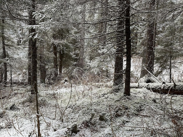 L2 Rocky St, Seldovia, AK 99663 - photo 21