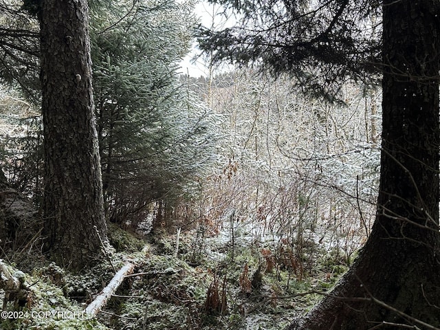 L2 Rocky St, Seldovia, AK 99663 - photo 22