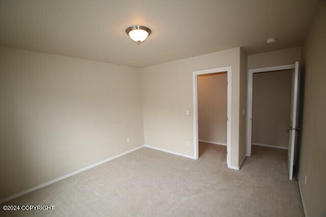 unfurnished bedroom featuring light colored carpet and a closet