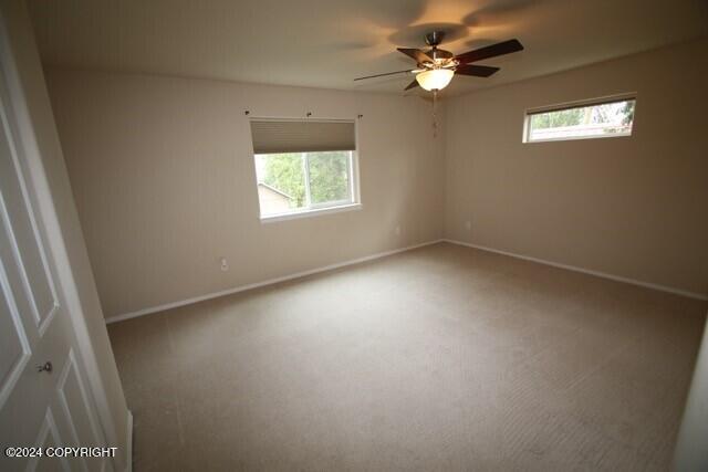 unfurnished room featuring a wealth of natural light and ceiling fan