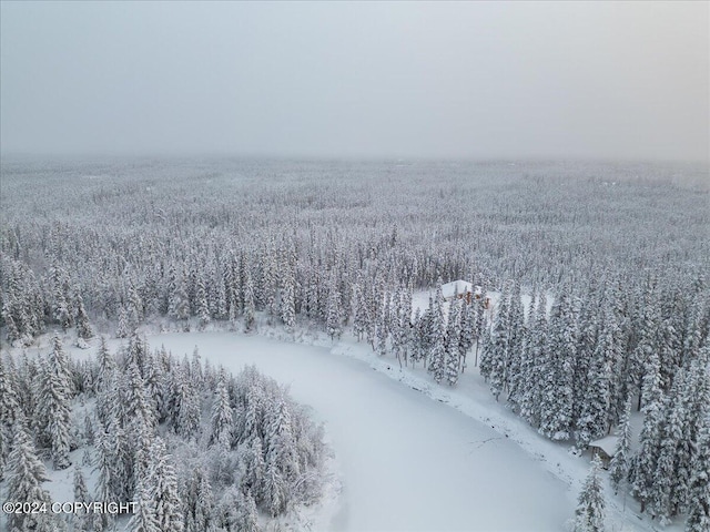 TL-215 Old Valdez Trl, Salcha, AK 99714 - snowy aerial view with a view of trees