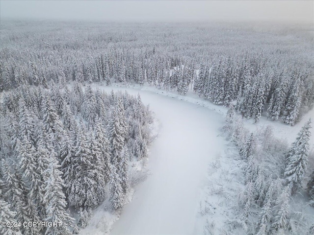 view of snowy aerial view