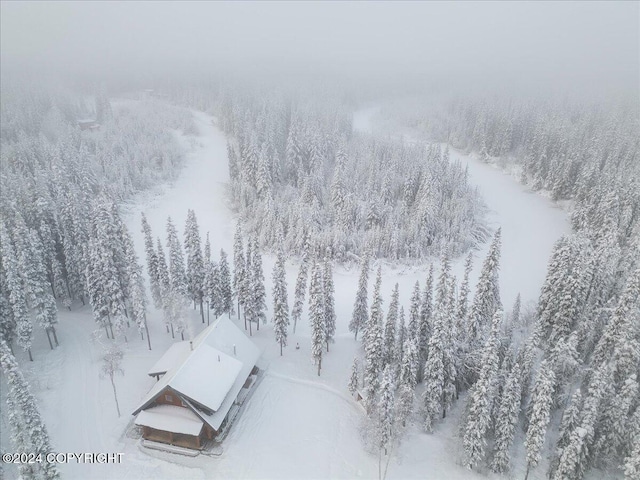 TL-215 Old Valdez Trl, Salcha, AK 99714 - view of snowy aerial view