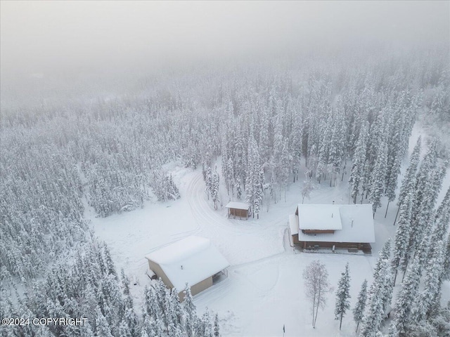 TL-215 Old Valdez Trl, Salcha, AK 99714 - snowy aerial view with a view of trees