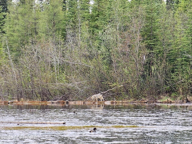 TL-215 Old Valdez Trl, Salcha, AK 99714 - water view