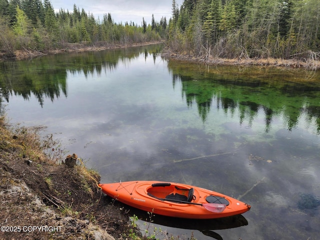 TL-215 Old Valdez Trl, Salcha, AK 99714 - water view with a heavily wooded area