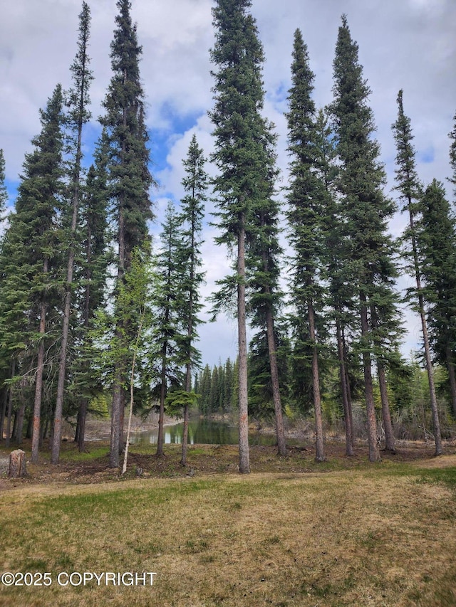 TL-215 Old Valdez Trl, Salcha, AK 99714 - view of yard